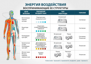 СКЭНАР-1-НТ (исполнение 01)  в Нижнекамске купить Медицинский интернет магазин - denaskardio.ru 